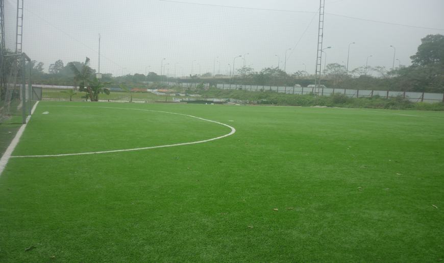 Tổng hợp các sân bóng đá Quận 7 Tp. Hồ Chí Minh 16