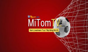 Mitom TV - Kênh Xem Bóng Đá Trực Tuyến Chất Lượng Cao 199