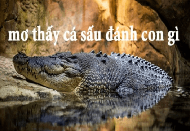 Mơ thấy cá sấu có điềm báo gì? Ý nghĩa ra sao? 1