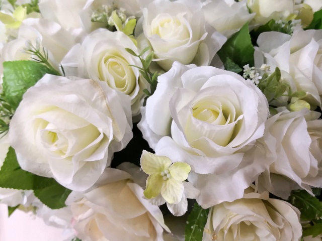 chiêm bao về hoa hồng trắng