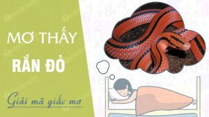  Nằm mơ thấy rắn màu đỏ đánh đề con gì để thắng lớn? Có điềm gì sắp tới? 2