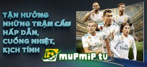 Mupmip TV: Nhận định trang bóng đá trực tuyến số 1 Việt Nam 2