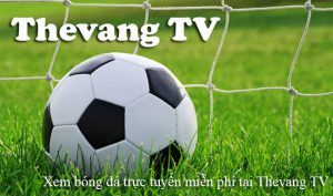 Thevang TV - Xem Trực Tiếp Bóng Đá Bình Luận Tiếng Việt Tại 33