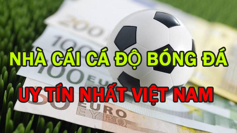 Tổng hợp và Đánh giá các trang cá độ bóng đá uy tín nhất Việt Nam 1