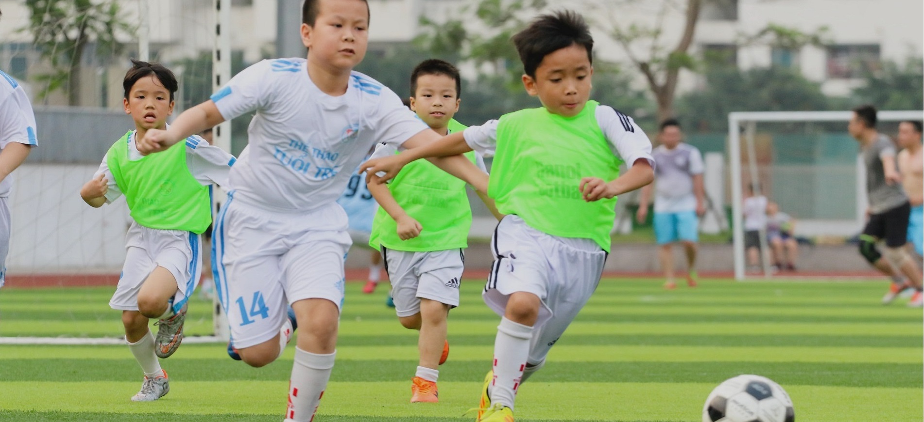 Sân bóng đá Bách Việt – Sân bóng chất lượng khu vực Cầu Giấy 6